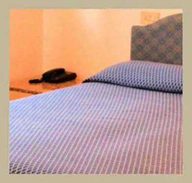 Hotel Capitol Pisa 3*,  Italy